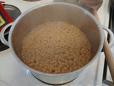 Ein Kochtopf mit gekochten, roten Linsen